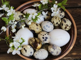 Специалисты рассказали, чем полезны перепелиные яйца для мужчин и женщин