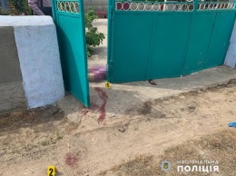 Фермерам на Николаевщине перерезали горло: подробности жестокого убийства