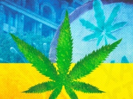 Легкие наркотики в Украине - что будет если их легализовать