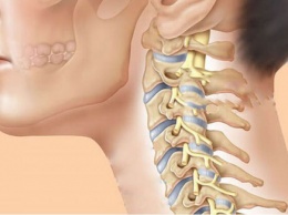 Мышечные зажимы шеи и спины: как справиться с болевым синдромом