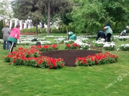 Одессу прихорашивают к лету: в Стамбульском парке высадили цветы, а на Приморском бульваре красят лавки (фоторепортаж)