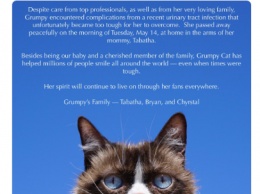 Умерла самая известная кошка интернета - сердитая Grumpy Cat. Мемы в память о ней