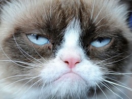Отставка Турчинова и Климкина, смерть знаменитой мем-кошки Grumpy Cat и авиакатастрофа в Дубае: ТОП новостей дня