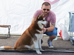 В Харькове проходит международная выставка собак
