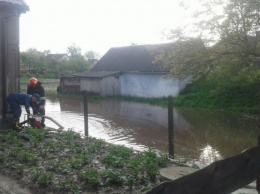 На Ровенщине из-за потопа погибли домашние животные, подтоплены дома и затоплены огороды