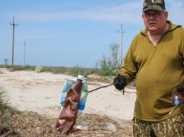 Тонны мусора: На запорожском курорте провели масштабный субботник (ФОТО)