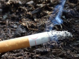 Соседские разборки на Херсонщине: суд принял решение по делу о "неудачном курении"