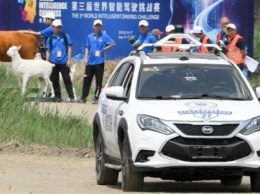 В Китае прошла гонка автономных автомобилей