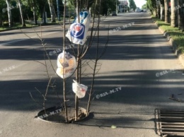 Посреди дороги в Мелитополе "выросло" дерево АТБ (фото)