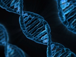 Ученые вырастили организм с полностью измененным ДНК