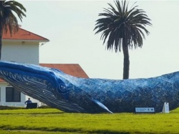 В США создали самого большого кита из пластика