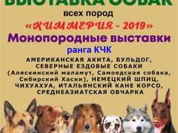 На выходных в Керчи пройдет выставка собак