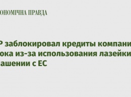 ЕБРР заблокировал кредиты компании Косюка из-за использования лазейки в соглашении с ЕС