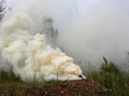 На Николаевщине мужчина бросил дымовую шашку на территорию арсенала ВМС