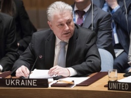 Ельченко написал председателю Совбеза ООН письмо-разъяснение относительно «языкового» закона