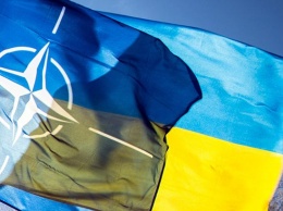 НАТО поможет Украине ликвидировать еще один радиоактивный могильник