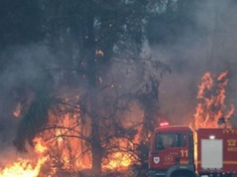 В Израиле из-за пожаров эвакуируют тысячи людей