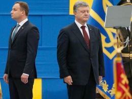 Реальные союзники Украины - кто они?