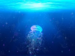 На пляже в Англии нашли гигантскую медузу (фото)
