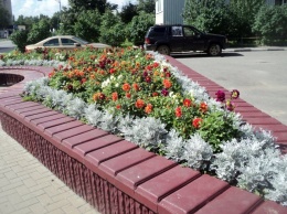 В Николаеве камеры зафиксировали, как женщина ворует цветы с городской клумбы. ВИДЕО
