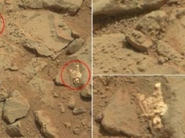 Пришелец «попался»: на фото Марса обнаружен живой инопланетянин