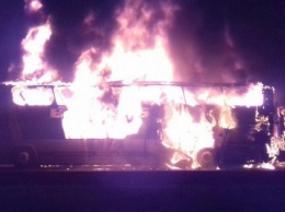 В Польше сгорел дотла автобус, который вез украинцев