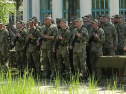 Отставить петросянщину: запорожская тероборона в ярких диалогах, монологах и выражениях