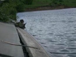 В Винницкой области в пруду утонули двое детей