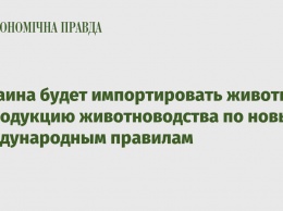 Украина будет импортировать животных и продукцию животноводства по новым международным правилам