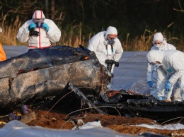 "Потерял управление": в ФРГ опубликован отчет о крушении самолета Филевой