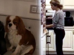 «Такой же сутулый» - Фанаты нашли невероятное сходство между Бородиной и ее собакой