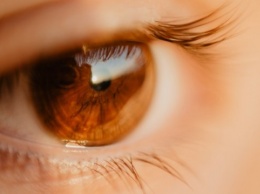 Ученые выяснили, как восстанавливается зрение после резкой вспышки света