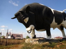Легендарный днепровский бык, о котором мы ничего не знали: интереснейшая история (Фото)