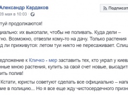 Из сквера возле туристического моста в Киеве исчезла сотня туй, посаженных лично Кличко