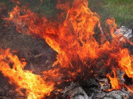 В Киеве в течение 1-3 июня ожидается высокая пожарная опасность