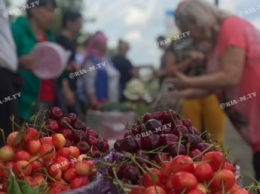 Сезонный фруктово-овощной рынок в Мелитополе будет бесплатным (фото)