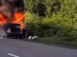 В Запорожской области взорвался автомобиль