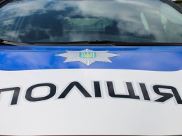 В Борисполе оштрафовали патрульного, сбившего школьника на пешеходном переходе