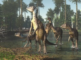 Фермер обнаружил новый вид динозавра
