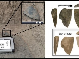 Предки человека могли несколько раз изобретать каменные орудия