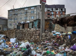 Экологи определили самые грязные регионы России