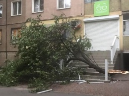Непогода в Кривом Роге: дерево упало на магазин, жилмассив ЮГОКа и Широкое затоплены