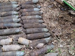 Искал металл, а нашел снаряды: под Кривым Рогом мужчина помог спасателям найти и обезвредить 26 артиллерийских боеприпаса