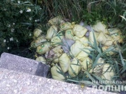 На Харьковщине неизвестные выбросили около речки 150 мешков с мертвыми курами