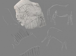Археологи нашли во Франции камень с мезолитическими рисунками