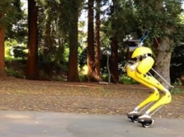 Двуногий робот Cassie освоил езду на гиророликах (видео)