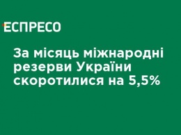 За месяц международные резервы Украины сократились на 5,5%