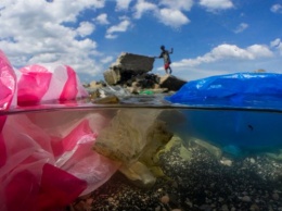 Ученые фиксируют пик мирового кризиса пластикового загрязнения