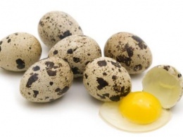 О лечебных свойствах перепелиных яиц