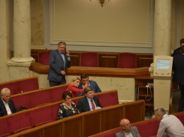 Кума Порошенко в цветах Зеленского, клубничка от "Самопомощи" и заговор трех - самое интересное из Рады за неделю